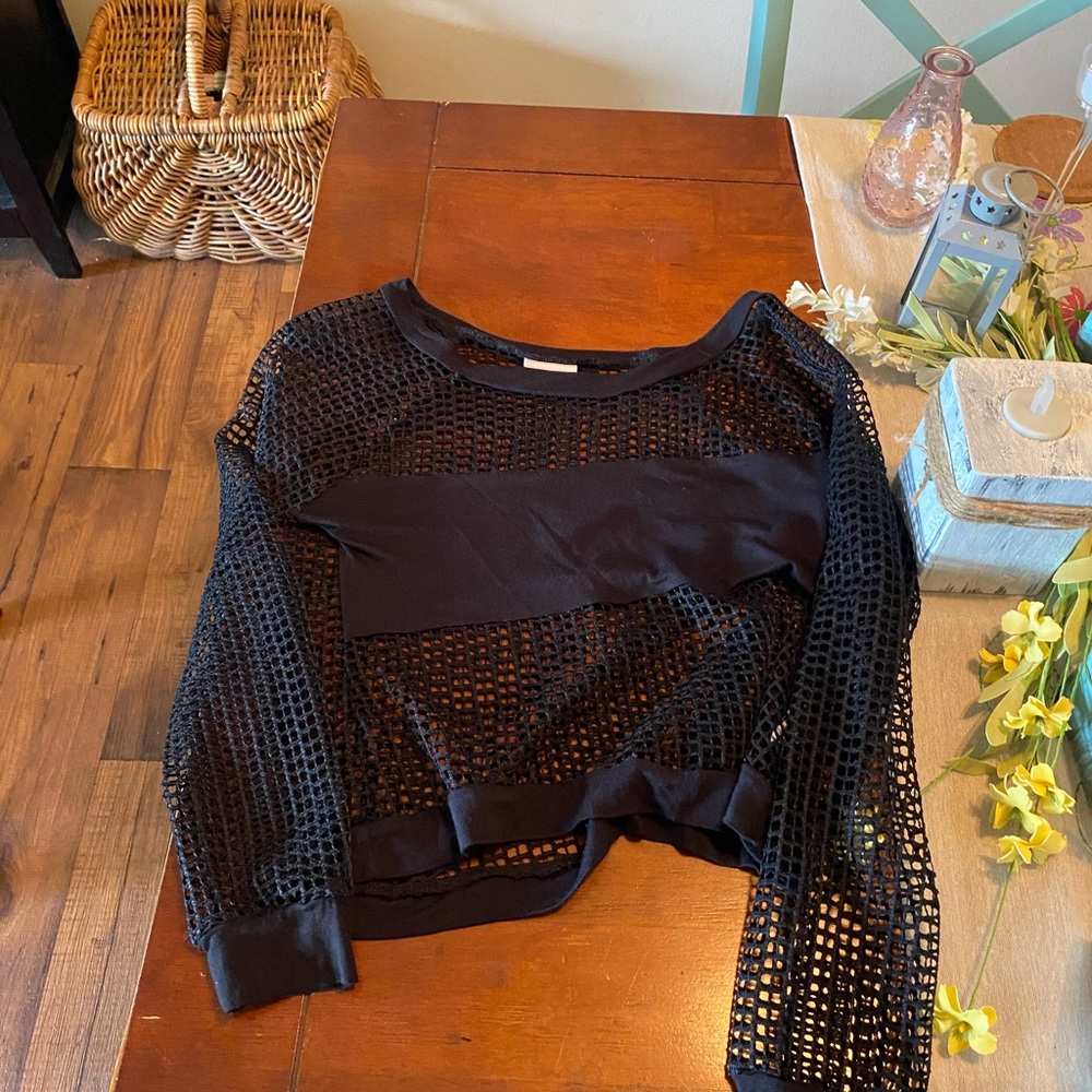Long Sleeved See through Crop Top